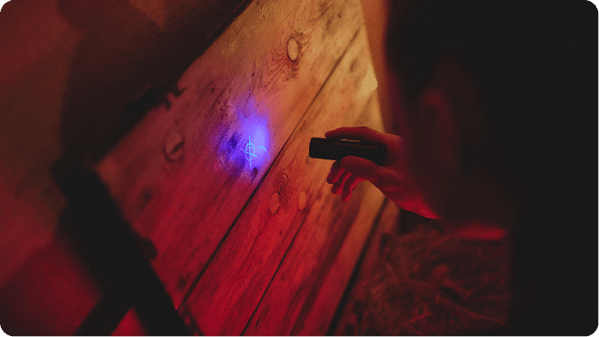 Overal in Europa en Zuidoost-Azië