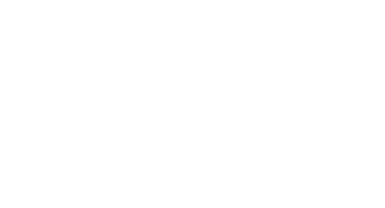 SVB Logo