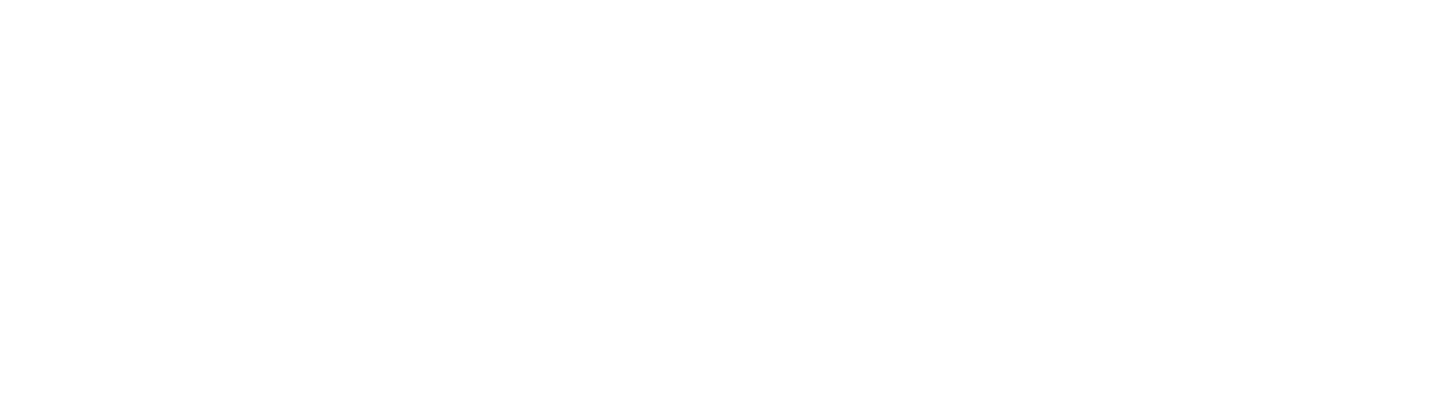VeiligheidNL Logo